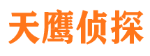 龙泉侦探公司